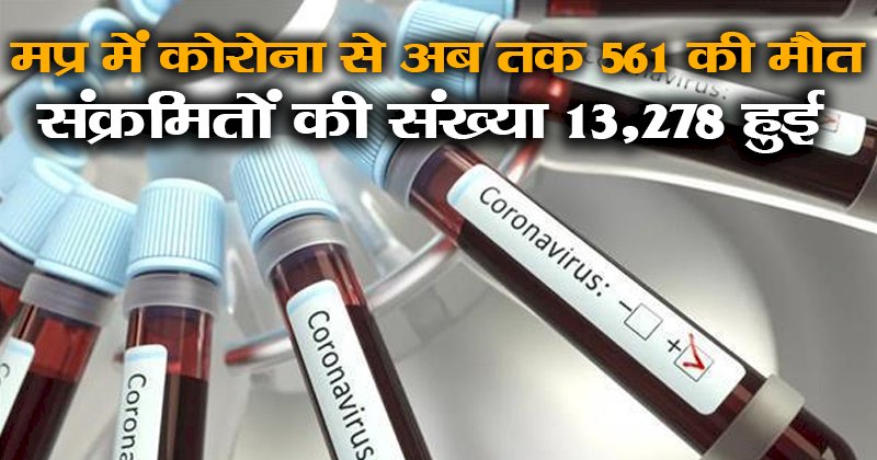 मप्र में कोरोना से अब तक 561 की मौत, संक्रमितों की संख्या 13,278 हुई