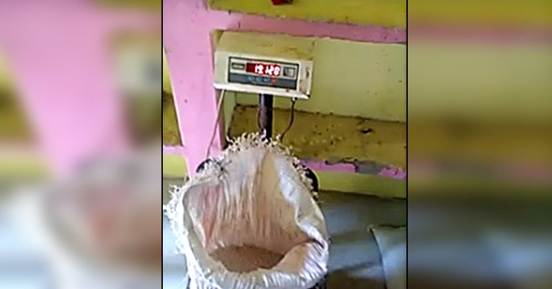 एससी-एसटी एक्ट सहित कोटेदार की दबंगई हुई वायरल