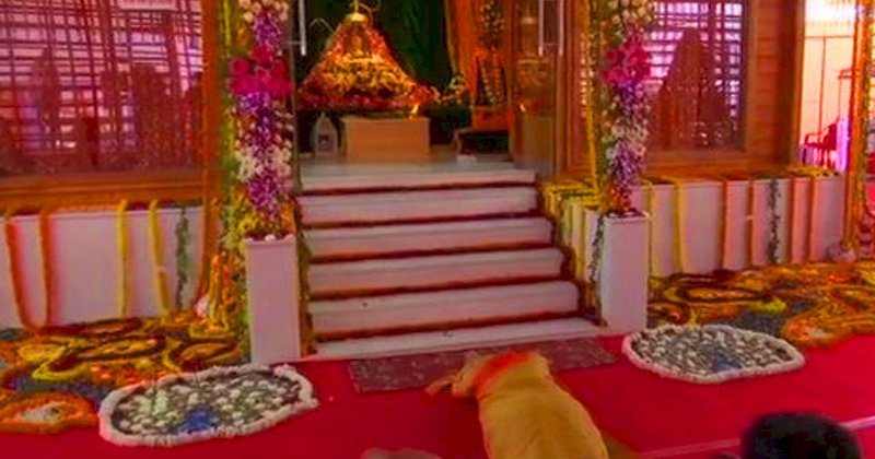 मोदी ने रामलला के किए दर्शन-आरती, साष्टांग प्रणाम किया