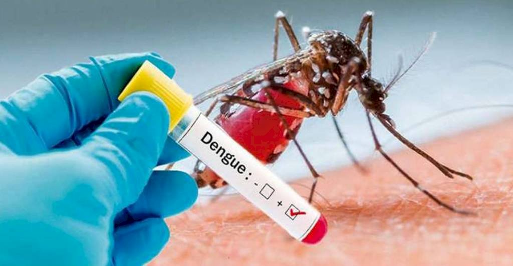 हमीरपुर में डेंगू बुखार से निपटने को स्वास्थ्य विभाग में मची जद्दोजहद
