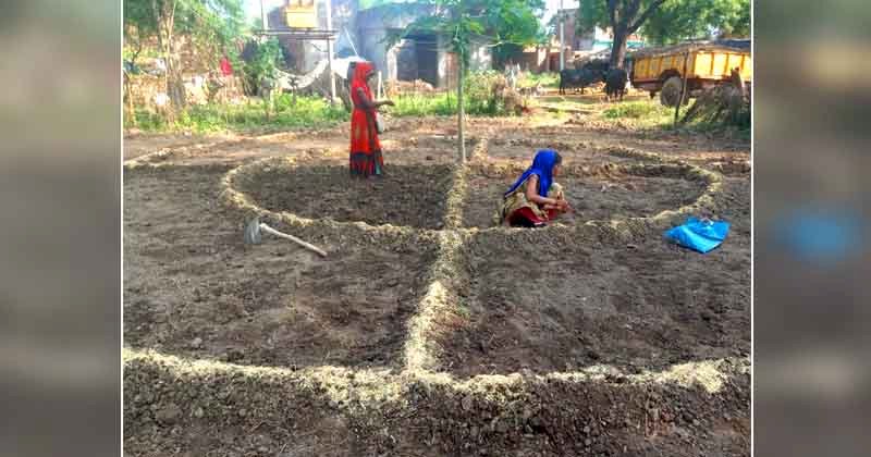 लॉकडाउन के समय बनवाईं 11 पोषण वाटिका  नौनिहालों को बना रही सेहतमंद