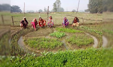 उप्र में आत्मनिर्भरता की ओर बढ़ रहे महिलाओं के कदम, दोगुनी कर रहीं आमदनी