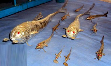 हमीरपुर में चांदी की मछली उद्योग में कोरोना की पड़ी मार