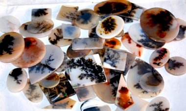 बांदा में शजर पत्थर के निर्यात की संभावना पर चर्चा