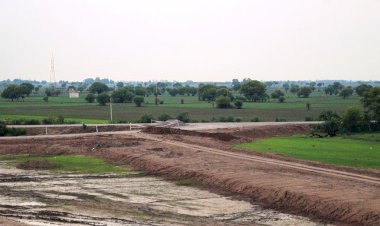 बुंदेलखंड एक्सप्रेस-वे निर्माण की बड़ी कीमत हरियाली को चुकानी पड़ी लेकिन ..!