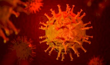 यूपी में कोरोना ने फिर पकड़ी रफ्तार, 16 जिलों में मड़राया खतरा