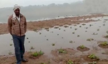 बाँदा : केन नदी की हत्या करने में तुले हैं, लाल सोने के लुटेरे