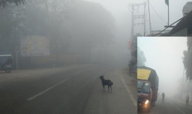 हमीरपुर में बढ़ी ठंड, पारा 6 डिग्री सेल्सियस नीचे लुढ़का