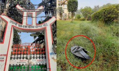 बांदा में भी मिला मृत पक्षी, कहीं बर्ड फ्लू तो नहीं ?