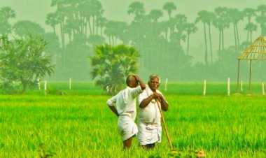 बढ़ रहे ठंड से न घबराएं किसान, फसलों को होगा फायदा