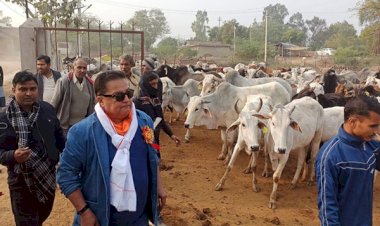 हमीरपुर: बुन्देलखंड विकास बोर्ड के उपाध्यक्ष ने गोशाला में गंदगी देख सचिव को लगाई फटकार