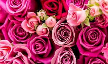 वैलेंटाइन डे : गुलाब की कीमतें बढी इश्क का इजहार आपकी जेब पर पडेगा भारी,