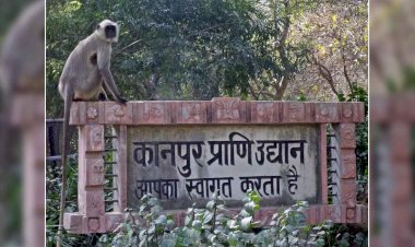 वैलेंटाइन-डे से 2 दिन पहले खुला कानपुर प्राणी उद्यान, 650 दर्शकों ने लिया आनंद