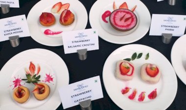 स्ट्रॉबेरी महोत्सव झाँसी में, किसानों को सिखाए जायेंगे स्ट्रॉबेरी खेती के नए तौर तरीके