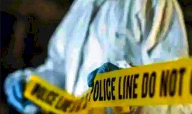 घर से कॉलेज को निकली छात्रा रास्ते से हुई गायब, परिवार जन की पड़ोसियों पर आशंका