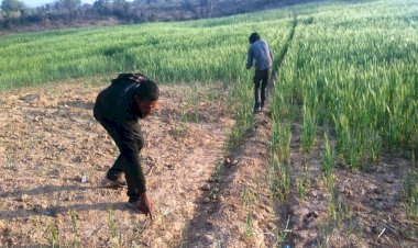 चार दिन पुरानी घटना में महिला के बाल, साड़ी का टुकड़ा व पैर की हड्डी बरामद हुई