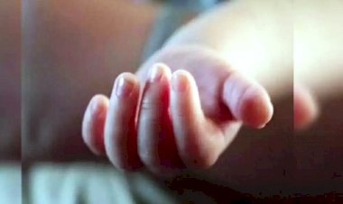 वृद्ध ने 8 साल की मासूम को बनाया हवस का शिकार, गिरफ्तार