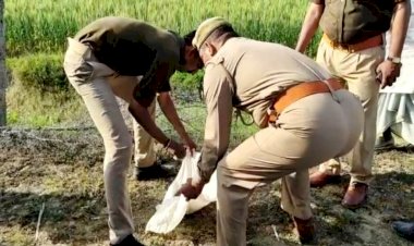 बारह दिन से गायब बुजुर्ग का नरमुण्ड मिलने से सनसनी