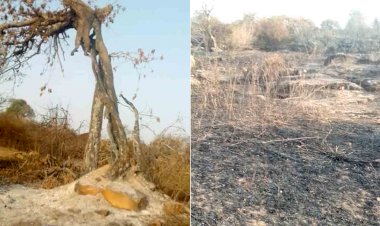 दूसरे दिन भी कालिंजर दुर्ग में लगी आग नहीं बुझी, फिर उठने लगी लपटें 