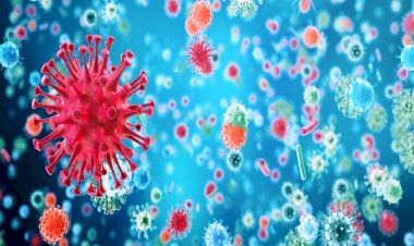 उत्तर प्रदेश में बढा कोरोना संक्रमण, 24 घंटे में 2600 लोग संक्रमित