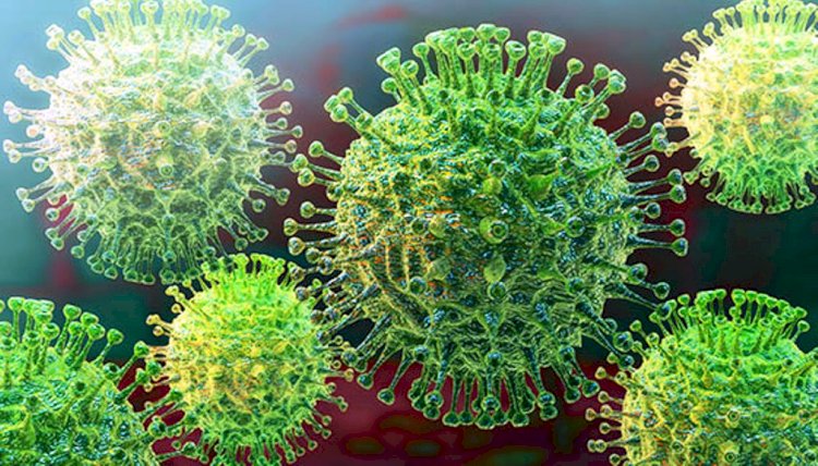 कोरोना का एक और वायरस आया, वैज्ञानिकों ने नियोकोव नाम दिया