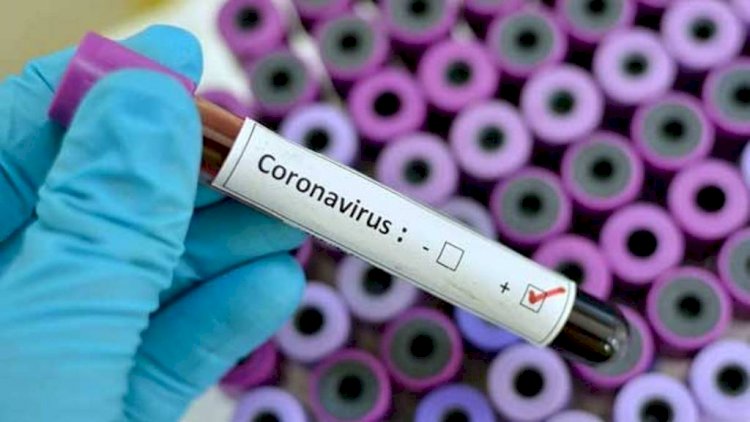 हमीरपुर: कोरोना ने फिर पकड़ी रफ्तार, 45 नये संक्रमित, कुल एक्टिव केसों की संख्या पहुंची 150