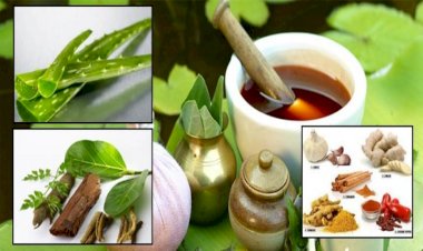 आयुर्वेदक चिकित्सक ने दिए रोग प्रतिरोधक क्षमता बढ़ाने के टिप्स