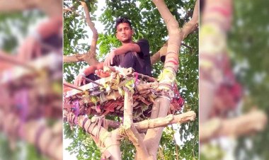 परिवार को संक्रमण से बचाने को वह पेड़ पर 11 दिन आइसोलेट रहा