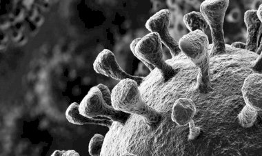 ब्लैंक फंगस से डरे नहीं, सावधान रहने की जरूरत