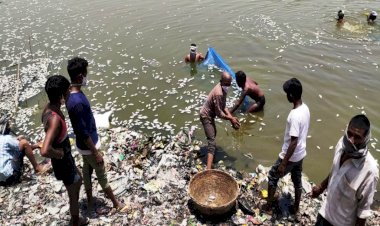 तो इस वजह से मर गयी बाँदा के छाबी तालाब की मछलियां