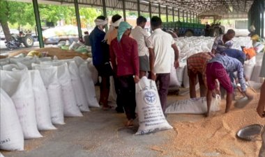 हमीरपुर : सरकारी खरीद केन्द्रों के बंद होने में 5 दिन शेष