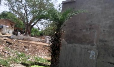 गरीबों के आवासीय पट्टो पर दबंगों ने अपना आवास बनाया, प्रशासन रहा मूकदर्शक