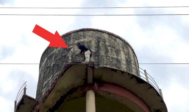 कलेक्ट्रेट में पानी की टंकी पर चढ़ी महिला का हाई वोल्टेज ड्रामा, पुलिस को जमकर छकाया