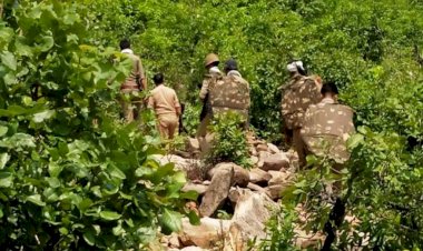 बीहड़ों में काम्बिंग में पुलिस को नहीं मिला दस्यु गौरी यादव गैंग का सुराग