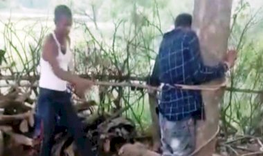 प्रेमिका से मिलने घर पहुँचे युवक की पेड़ से बांधकर की पिटाई, वीडियो वायरल