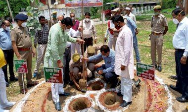 हमीरपुर में महज 12 घंटे में रोपित हो गए ऑक्सीजन देने वाले 45.53 लाख पौधे