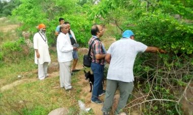 महोबा के गोरखगिरि में औषधीय पौधों से परिचित कराने को बनेगी संजीवनी वाटिका