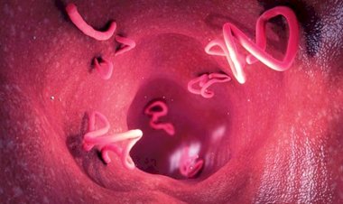 राष्ट्रीय कृमि मुक्ति 10 दिवसीय अभियान में 8.27 लाख बच्चे खाएंगे दवा