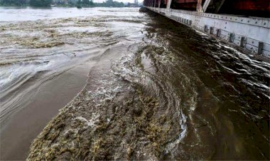 यमुना नदी के उफनाने से दो जनपदों का सम्पर्क मार्ग हुआ बंद