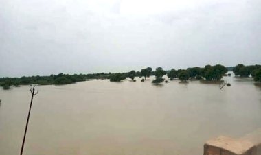 हमीरपुर : यमुना बेतवा केन के बाद चंद्रावल ने दिखाया रौद्र रूप