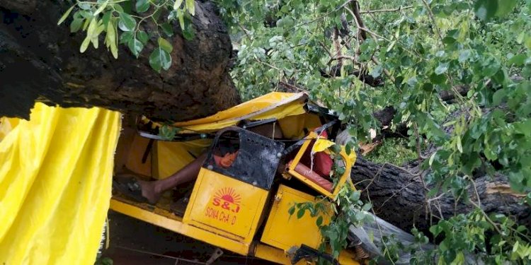 बाँदा : बारिश के दौरान ई रिक्शा में शीशम का पेड़ गिरा, एक की मौत तीन घायल