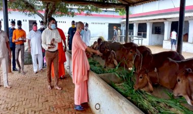 मुख्यमंत्री योगी आदित्यनाथ ने मां पाटेश्वरी जी से मांगी देश की समृद्धि
