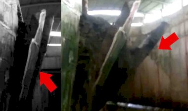 बांदा : दुरेड़ी गांव के पास रेलवे अण्डर ब्रिज ढहा, बाल-बाल बचे लोग