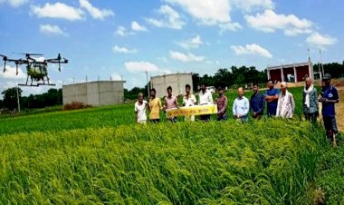 ड्रोन से फसलों पर कीटनाशी का छिड़काव कर बेहतर उत्पादन कर सकते हैं किसान : कृषि वैज्ञानिक