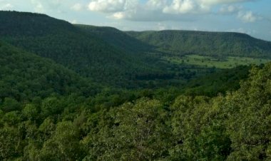 बकस्वाहा में 17 गांवों के बेरोजगार युवाओं ने रोजगार देने कोें, डायमंड प्रोजेक्ट शुरू करने की पीएम से लगाई गोहार