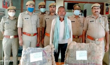 गांजा की खेती करने वाले को बाँदा पुलिस ने दबोचा, 16 किलो 400 ग्राम हरा गांजा बरामद