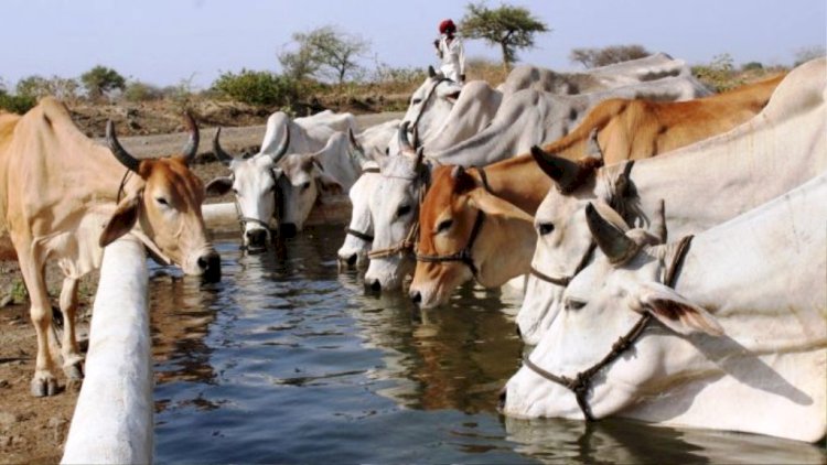 भारतीय जीवन में गाय का अभूतपूर्व योगदान : राष्ट्रीय संगठन मंत्री खेमचंद शर्मा