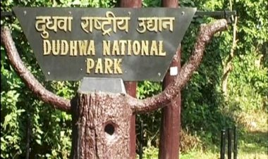 पर्यटकों के लिए 15 नवम्बर से खुल जाएंगे दुधवा पार्क सहित प्रदेश के सभी पर्यटन स्थल