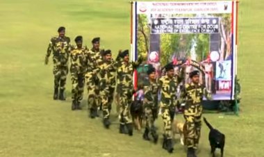 राष्ट्र रक्षा समर्पण पर्व का आगाज : स्वानों की टोली ने दिखाए हैरतअंगेज करतब