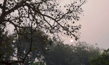 हल्की बूंदाबांदी ने बढ़ाई सर्दी, लोगों ने लिया गर्म कपड़ों का सहारा